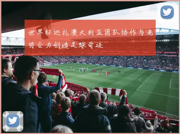 世界杯巡礼澳大利亚团队协作与老将合力创造足球奇迹
