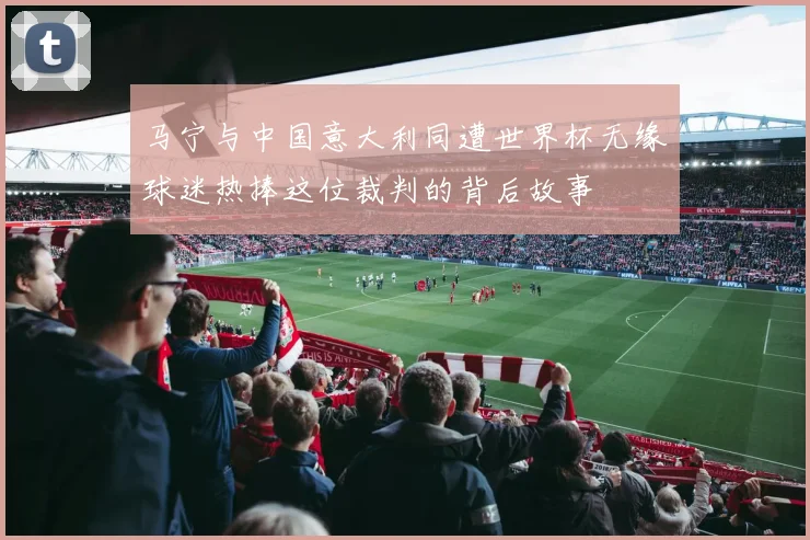 马宁与中国意大利同遭世界杯无缘球迷热捧这位裁判的背后故事