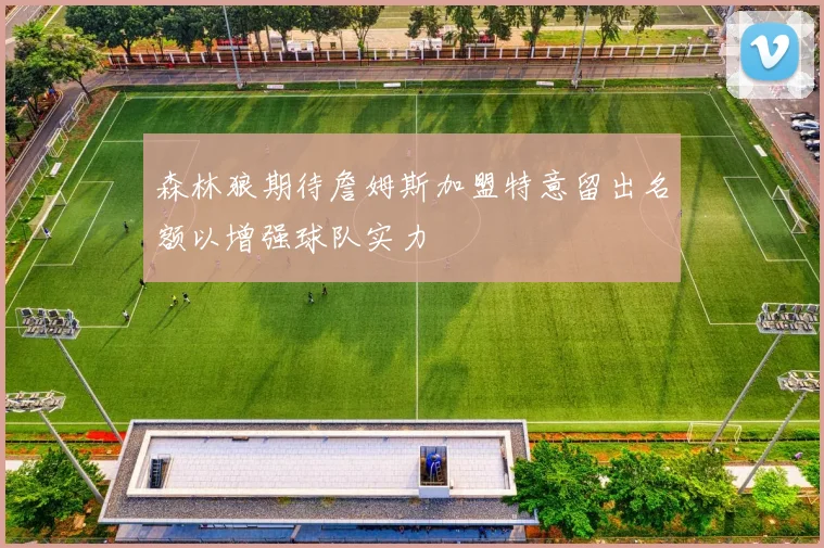 森林狼期待詹姆斯加盟特意留出名额以增强球队实力